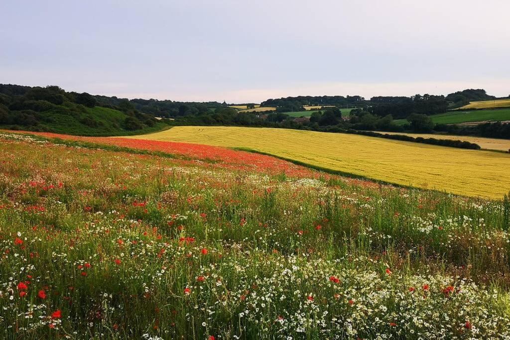 Blakeney Norfolk Bramble Lodge ***Self Catering*** Bagian luar foto